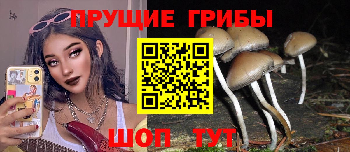 Галлюциногенные грибы прущие грибы Норильск