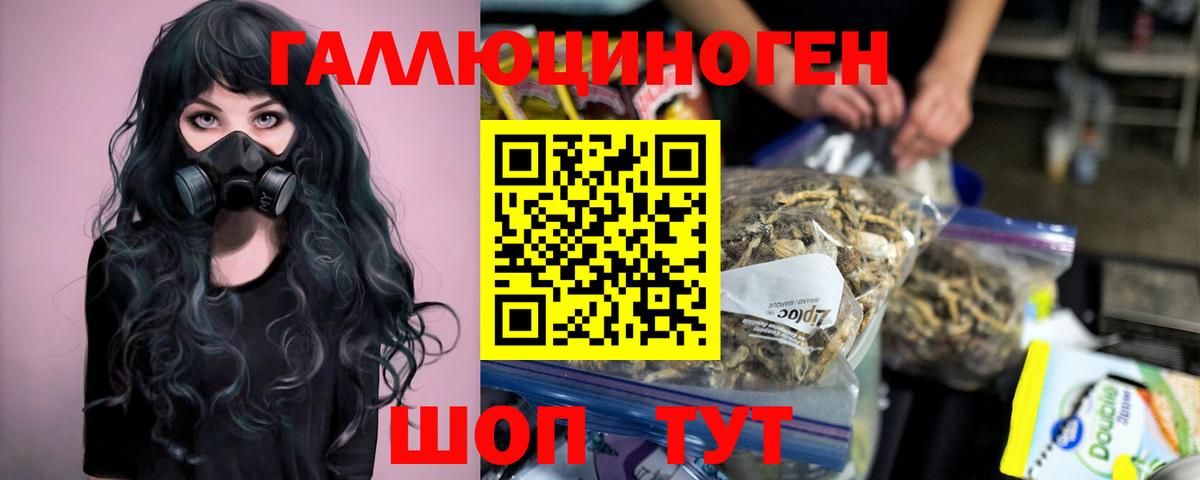 Псилоцибиновые грибы GOLDEN TEACHER  Вход с VPN  Псилоцибиновые грибы ЛСД  как найти   Норильск 